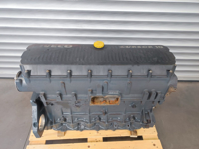 Motor para Camión Iveco STRALIS EURO 3 CURSOR 10 F3AE0681: foto 11