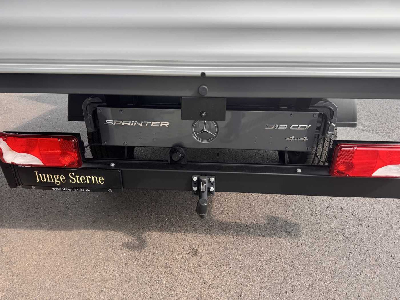 Furgoneta con lona, Furgoneta combi Mercedes-Benz Sprinter 319 CDI 4x4 DoKa AHK3,5 Klima Kamera: foto 6