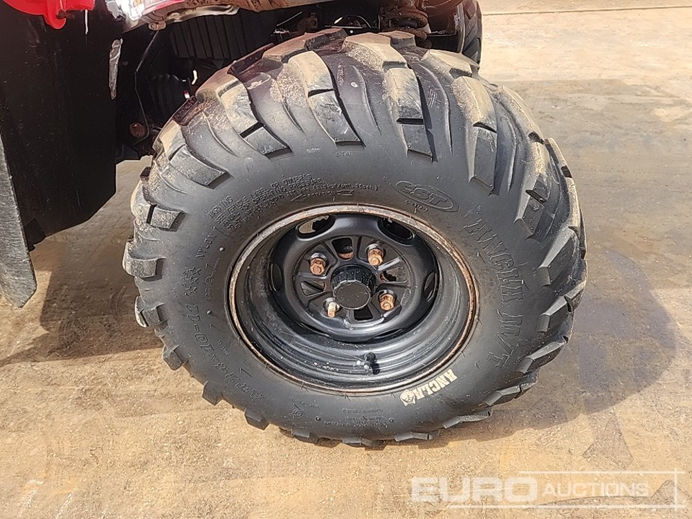 Cuadrimoto Honda TRX420: foto 10