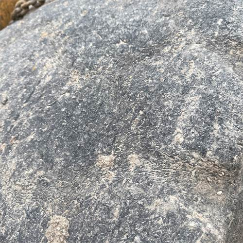 Cargadora de ruedas Liebherr L541: foto 33