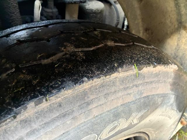 Camión multibasculante, Camión grúa Iveco TRAKKER 410 E6: foto 21