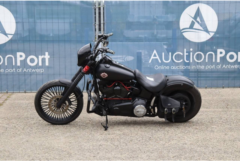 Harley-Davidson Deuce FXSTD Softail - Motocicleta: foto 2 Harley-Davidson Deuce FXSTD Softail - Motocicleta: foto 2