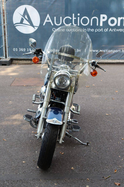 Motocicleta Harley-Davidson Fat Boy: foto 8