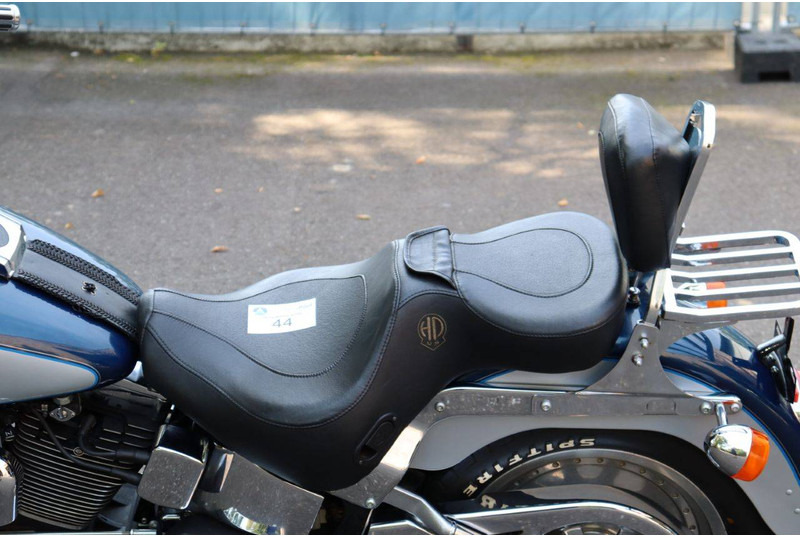 Motocicleta Harley-Davidson Fat Boy: foto 18