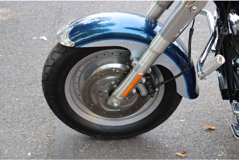 Motocicleta Harley-Davidson Fat Boy: foto 12