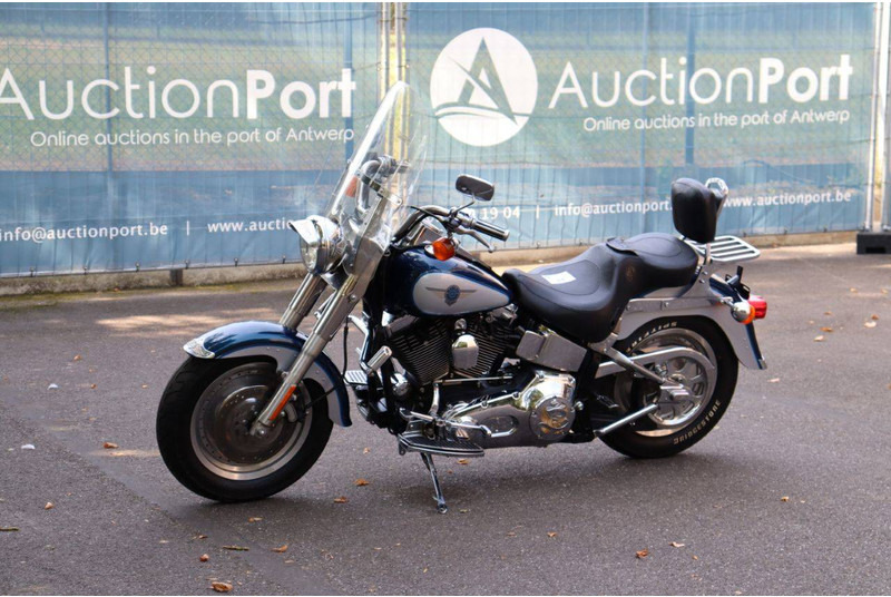 Motocicleta Harley-Davidson Fat Boy: foto 9