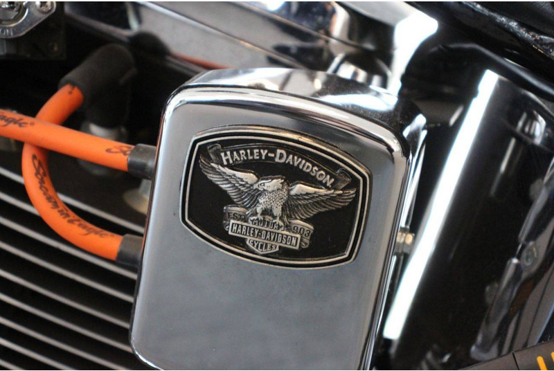Motocicleta Harley-Davidson Heritage Softail: foto 20