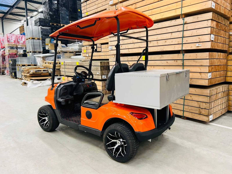 Carrito de golf nuevo RTE: foto 7