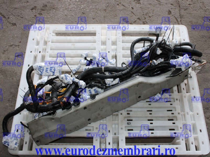 INSTALATIE ELECTRICA MOTOR MAN D2676 LF51 81.25459.6956 - Cables/ Alambres para Camión: foto 1 INSTALATIE ELECTRICA MOTOR MAN D2676 LF51 81.25459.6956 - Cables/ Alambres para Camión: foto 1