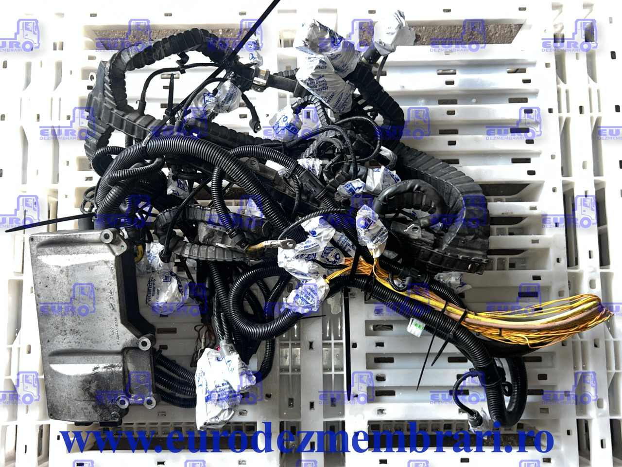 INSTALATIE ELECTRICA MOTOR MAN TGX D3876 TRAXON 51.25413.6515 - Cables/ Alambres para Camión: foto 1 INSTALATIE ELECTRICA MOTOR MAN TGX D3876 TRAXON 51.25413.6515 - Cables/ Alambres para Camión: foto 1