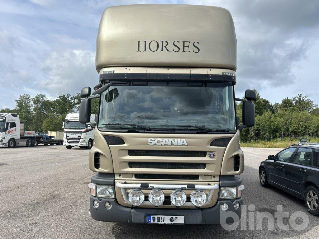 SCANIA P360DB6X2*4MNB - Camión para caballos: foto 2 SCANIA P360DB6X2*4MNB - Camión para caballos: foto 2