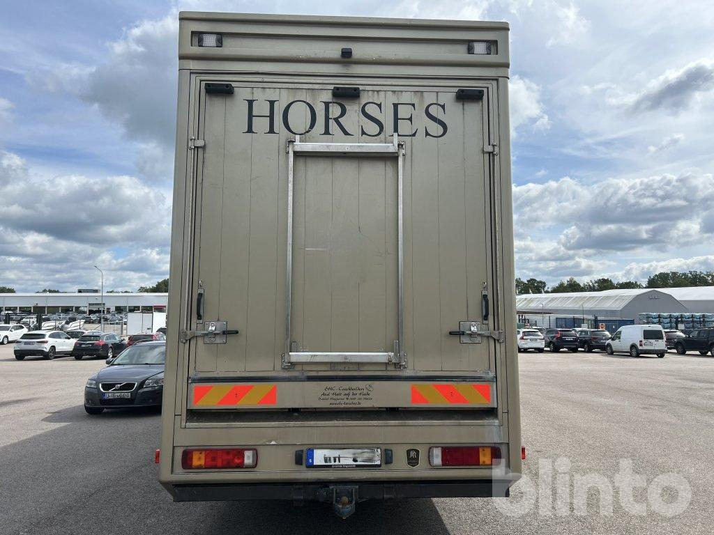 SCANIA P360DB6X2*4MNB - Camión para caballos: foto 5 SCANIA P360DB6X2*4MNB - Camión para caballos: foto 5